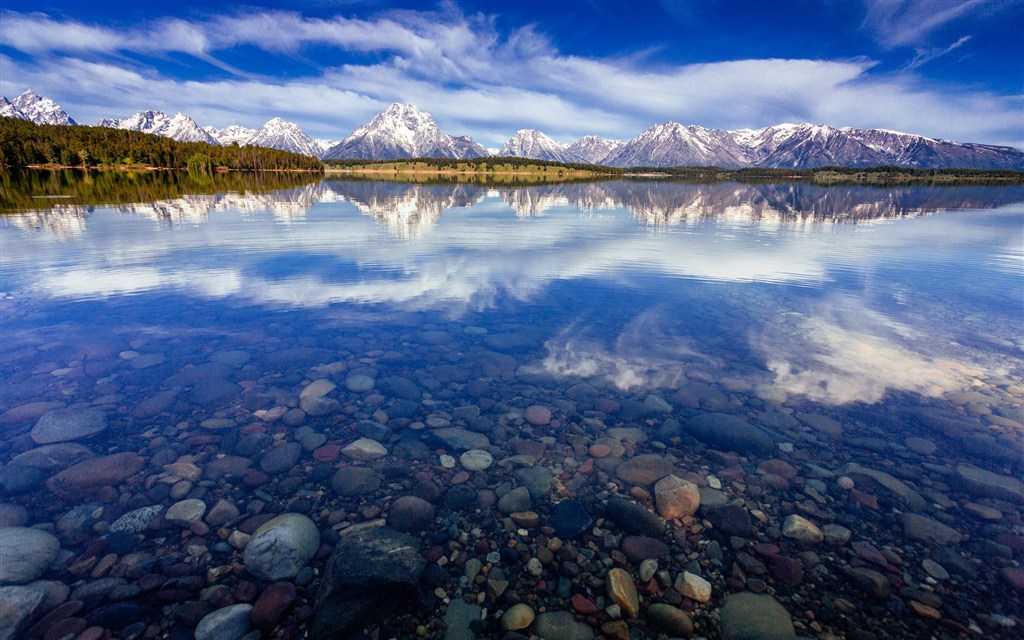 背景